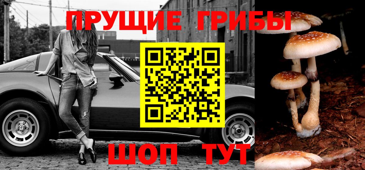 Галлюциногенные грибы мицелий  Вход с VPN  Владикавказ 